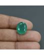 Zambian Emerald (Panna) - 9.19 Carat