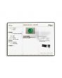 Zambian Emerald (Panna) - 10.35 Carat