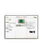 Zambian Emerald (Panna) - 7.22 Carat