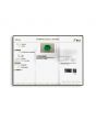 Zambian Emerald (Panna) - 5.58 Carat