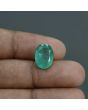 Zambian Emerald (Panna) - 4.84 Carat