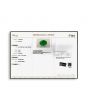 Zambian Emerald (Panna) - 8.28 Carat