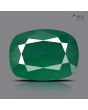 Zambian Emerald (Panna) - 10.72 Carat
