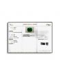 Zambian Emerald (Panna) - 10.72 Carat