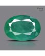 Zambian Emerald (Panna) - 7.71 Carat