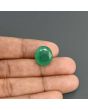 Zambian Emerald (Panna) - 10.42 Carat
