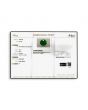 Zambian Emerald (Panna) - 10.42 Carat