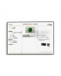 Zambian Emerald (Panna) - 4.53 Carat