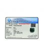 Zambian Emerald (Panna) - 7.27 Carat