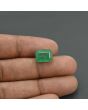 Zambian Emerald (Panna) - 5.19 Carat