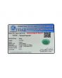 Brazil Emerald (Panna) - 6.18 Carat