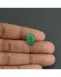 Brazil Emerald (Panna) - 5.5 Carat