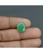 Zambian Emerald (Panna) - 6.56 Carat