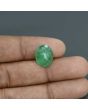 Zambian Emerald (Panna) - 6.56 Carat
