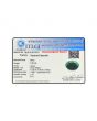 Brazil Emerald (Panna) - 4.55 Carat