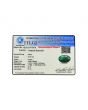 Brazil Emerald (Panna) - 4.97 Carat