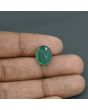 Zambian Emerald (Panna) - 6.24 Carat