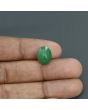 Zambian Emerald (Panna) - 5.75 Carat