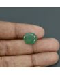 Zambian Emerald (Panna) - 5.93 Carat