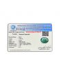 Zambian Emerald (Panna) - 4.66 Carat
