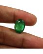 Zambian Emerald (Panna) - 8.45 Carat