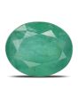 Zambian Emerald (Panna) - 8.72 Carat