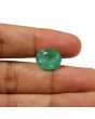 Zambian Emerald (Panna) - 8.72 Carat