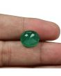 Zambian Emerald (Panna) - 7.13 Carat