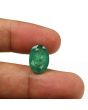 Zambian Emerald (Panna) - 6.8 Carat
