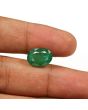 Zambian Emerald (Panna) - 6.46 Carat