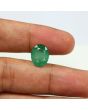 Zambian Emerald (Panna) - 5.32 Carat