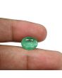 Zambian Emerald (Panna) - 3.34 Carat