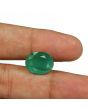 Zambian Emerald (Panna) - 7.66 Carat