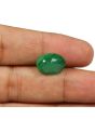Zambian Emerald (Panna) - 5.6 Carat