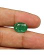 Zambian Emerald (Panna) - 5.65 Carat
