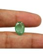 Zambian Emerald (Panna) - 5.12 Carat