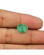 Brazil Emerald (Panna) - 5.53 Carat