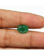 Zambian Emerald (Panna) - 4.91 Carat