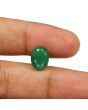 Zambian Emerald (Panna) - 4.91 Carat