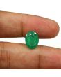 Zambian Emerald (Panna) - 3.87 Carat