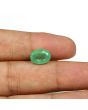 Zambian Emerald (Panna) - 4.59 Carat