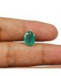 Zambian Emerald (Panna) - 3.95 Carat