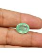 Russian Emerald (Panna) - 7.62 Carat