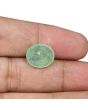 Russian Emerald (Panna) - 6.67 Carat