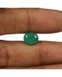 Zambian Emerald (Panna) - 2.75 Carat