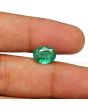 Zambian Emerald (Panna) - 2.9 Carat