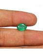 Zambian Emerald (Panna) - 2.58 Carat