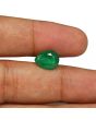 Zambian Emerald (Panna) - 3.16 Carat
