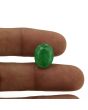 Brazil Emerald (Panna) - 6.61 Carat
