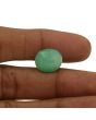 Brazil Emerald (Panna) - 7.97 Carat